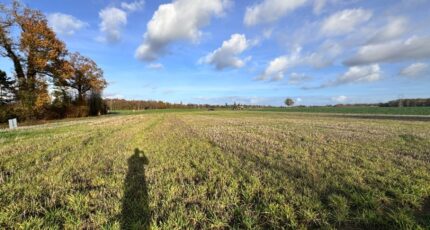 Mandres Maison neuve - 2447144-9696annonce2202603041DHnw.jpeg Les Maisons Extraco