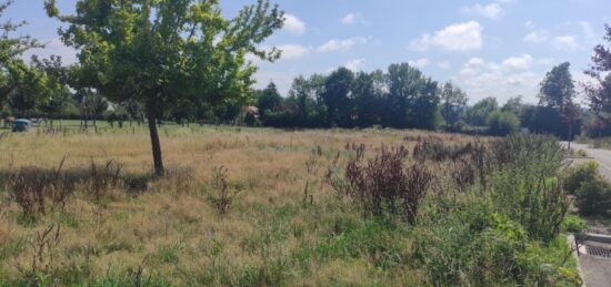 Terrain à bâtir à , Calvados