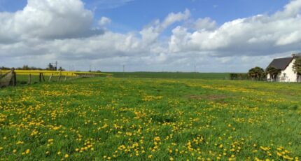 Vieux-Villez Terrain à bâtir - 2449273-5689annonce120260306hMlB7.jpeg Les Maisons Extraco