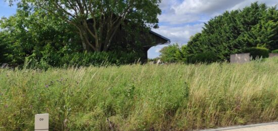 Terrain à bâtir à Mézy-sur-Seine, Île-de-France