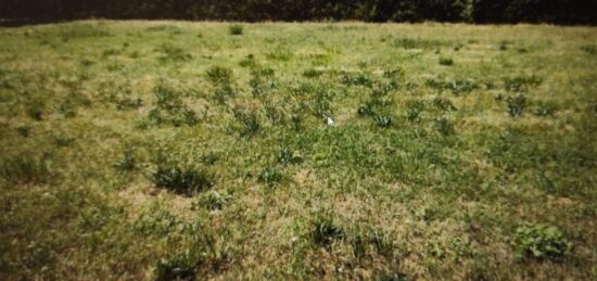 Terrain à bâtir à La Saussaye, Normandie