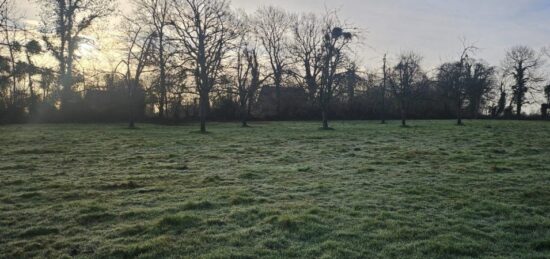 Terrain à bâtir à La Lande-Saint-Léger, Normandie