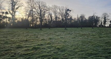 La Lande-Saint-Léger Maison neuve - 2454846-4101annonce1202603127ydPP.jpeg Les Maisons Extraco