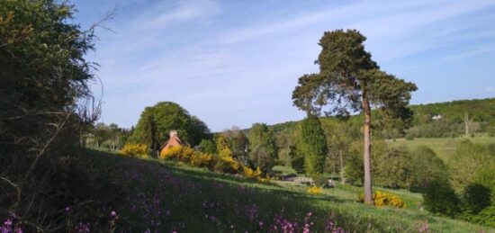 Terrain à bâtir à La Trinité-de-Réville, Normandie
