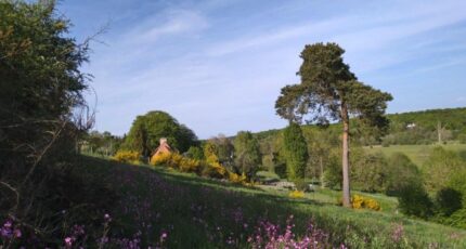 La Trinité-de-Réville Maison neuve - 2454865-4101annonce120260312N6plt.jpeg Les Maisons Extraco