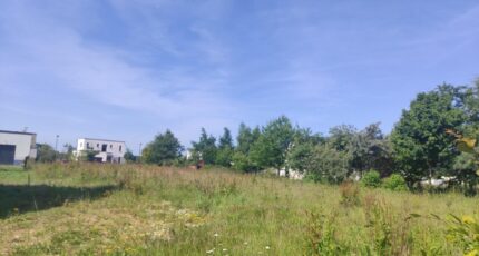 Honfleur Maison neuve - 2454123-11216annonce120260311WSrds.jpeg Les Maisons Extraco