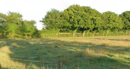 Conteville Maison neuve - 2454798-11690annonce120260312sxo5k.jpeg Les Maisons Extraco