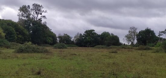 Terrain à bâtir à Trouville-sur-Mer, Normandie