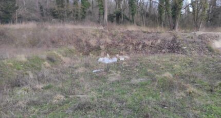 Maule Maison neuve - 2455881-5689annonce120260313F73N7.jpeg Les Maisons Extraco