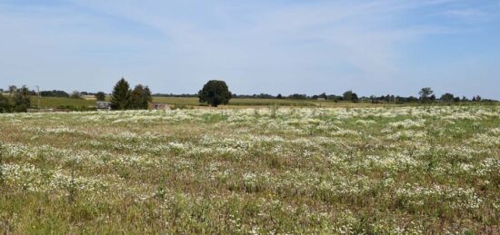 Terrain à bâtir à Bourdainville, Normandie