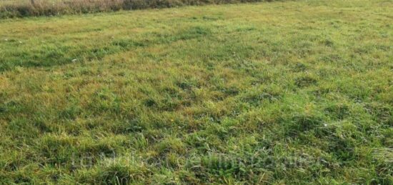 Terrain à bâtir à Saint-Pierre-lès-Elbeuf, Normandie