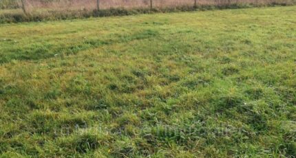 Saint-Pierre-lès-Elbeuf Maison neuve - 2459337-4102annonce120260317vn9gl.jpeg Les Maisons Extraco