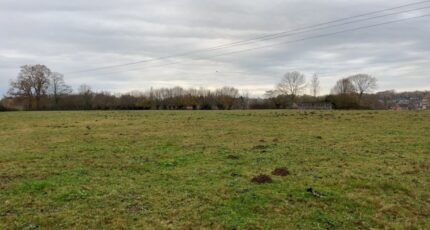 Forges-les-Eaux Maison neuve - 2461530-11690annonce120260319UiyId.jpeg Les Maisons Extraco