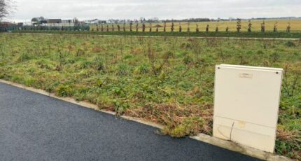 Fauville-en-Caux Maison neuve - 2462312-11217annonce120260319KxyJs.jpeg Les Maisons Extraco