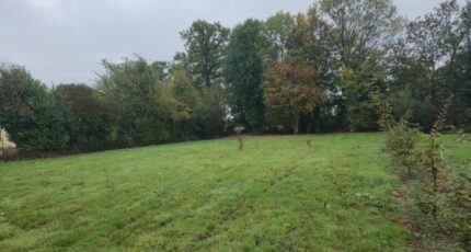 Beuzeville Maison neuve - 2463183-4101annonce120260320cnEr0.jpeg Les Maisons Extraco