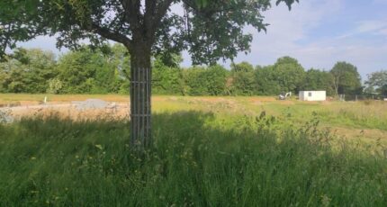 Saint-Thurien Maison neuve - 2468848-4101annonce120260326q0hC3.jpeg Les Maisons Extraco