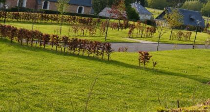 Haudricourt Maison neuve - 2634541-11690annonce120260915fxoOZ.jpeg Les Maisons Extraco