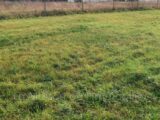 Maison à construire à Saint-Pierre-lès-Elbeuf (76320) 2633454-4102annonce120260914W6vb0.jpeg Les Maisons Extraco