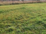 Maison à construire à Saint-Pierre-lès-Elbeuf (76320) 2633452-4102annonce120260914W6vb0.jpeg Les Maisons Extraco