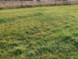 Maison à construire à Saint-Pierre-lès-Elbeuf (76320) 2633457-4102annonce120260914CdiKu.jpeg Les Maisons Extraco