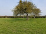 Terrain à bâtir à Lyons-la-Forêt (27480) 2640938-11218annonce120260920m5a2Z.jpeg Les Maisons Extraco