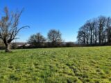 Maison à construire à Gournay-en-Bray (76220) 2642104-11690annonce120260921q44u1.jpeg Les Maisons Extraco