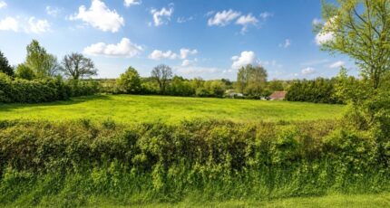 Compainville Maison neuve - 2641946-11690annonce120260921cabzq.jpeg Les Maisons Extraco