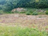Maison à construire à Ancretteville-sur-Mer (76540) 2645905-11884annonce120260923DALtn.jpeg Les Maisons Extraco