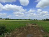 Terrain à bâtir à Manneville-sur-Risle (27500) 2651277-11214annonce120260926cRtdE.jpeg Les Maisons Extraco