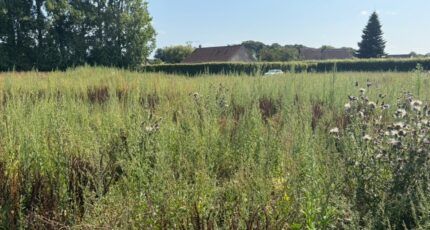 Allouville-Bellefosse Maison neuve - 2650965-11217annonce120260926TOHcN.jpeg Les Maisons Extraco