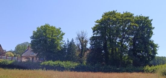 Terrain à bâtir à Bois-l'Évêque, Normandie
