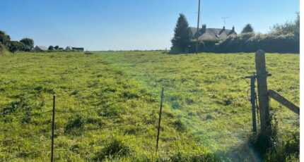 Cany-Barville Maison neuve - 2660996-11884annonce120261002SeOJv.jpeg Les Maisons Extraco