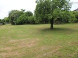 Maison à construire à Bénouville (76790) 2651716-11855annonce120260927TMell.jpeg Les Maisons Extraco