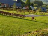 Maison à construire à Haudricourt (76390) 2662929-11690annonce220261005shiP4.jpeg Les Maisons Extraco