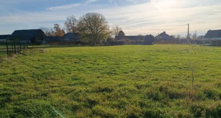 Réalcamp Maison neuve - 2664861-11690annonce1202610066yJwg.jpeg Les Maisons Extraco