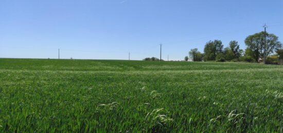 Terrain à bâtir à Heuqueville, Normandie