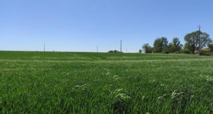 Heuqueville Maison neuve - 2671241-5689annonce120261009IuuiT.jpeg Les Maisons Extraco