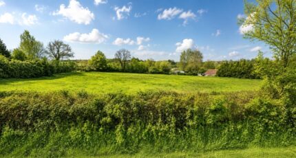 Compainville Maison neuve - 2664825-11690annonce120261006HSQcd.jpeg Les Maisons Extraco