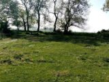Maison à construire à Gruchet-le-Valasse (76210) 2672052-11884annonce1202610112HoNz.jpeg Les Maisons Extraco