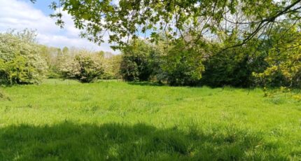Saint-Symphorien Maison neuve - 2672363-11214annonce120261009kg3Tr.jpeg Les Maisons Extraco