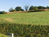 Maison à construire à Gaillefontaine (76870) 2673379-11690annonce120261012vNSxb.jpeg Les Maisons Extraco