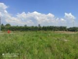 Maison à construire à Appeville-Annebault (27290) 2677325-4101annonce1202610142tPEs.jpeg Les Maisons Extraco