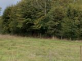 Maison à construire à La Haye-Aubrée (27350) 2681595-11929annonce120261018J9VTK.jpeg Les Maisons Extraco