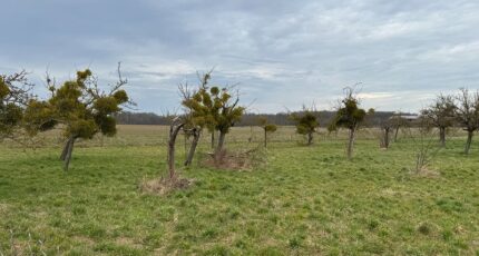 Mantes-la-Ville Maison neuve - 2680972-11590annonce120261017gpwBk.jpeg Les Maisons Extraco