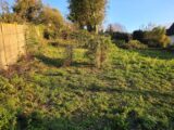 Maison à construire à Goderville (76110) 2680941-11884annonce120261017cX2r6.jpeg Les Maisons Extraco