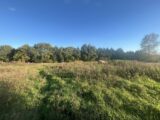 Maison à construire à Saint-Martin-aux-Buneaux (76450) 2681227-11855annonce120261018H6M5I.jpeg Les Maisons Extraco