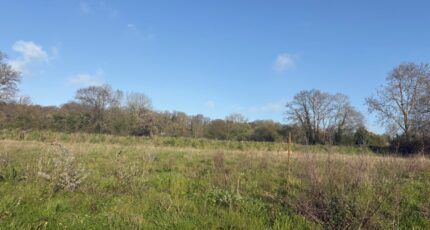Le Breuil-en-Auge Maison neuve - 2681557-11215annonce120261018XH4Jo.jpeg Les Maisons Extraco
