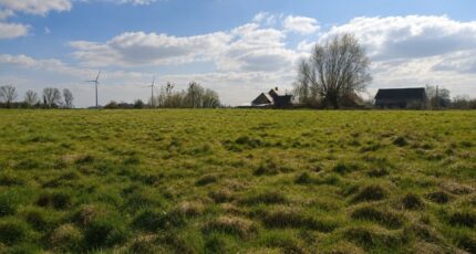 Smermesnil Maison neuve - 2684163-11690annonce120261020TIg5U.jpeg Les Maisons Extraco