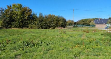 Mandeville Maison neuve - 2682381-6236annonce120261019lc1xe.jpeg Les Maisons Extraco