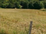 Maison à construire à Pouilly (60790) 2688679-11218annonce120261023IxuO0.jpeg Les Maisons Extraco